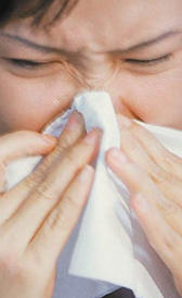 alergia Imagen de la alergia